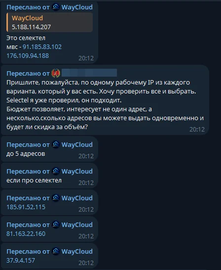 Продавец выдаёт несколько IP-адресов для самостоятельной проверки